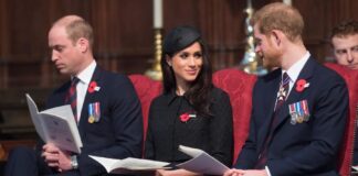 Nekdanji kraljevi strežaj razkril družinske spore, o Meghan in zakaj za princa Harryja ni poti nazaj