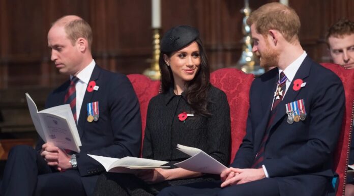 Nekdanji kraljevi strežaj razkril družinske spore, o Meghan in zakaj za princa Harryja ni poti nazaj