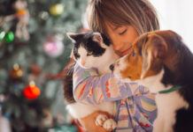 Svetovni dan hišnih ljubljenčkov: praznik brezpogojne ljubezni in zvestobe