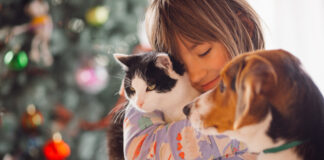 Svetovni dan hišnih ljubljenčkov: praznik brezpogojne ljubezni in zvestobe