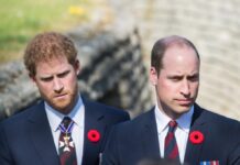 Zakaj je bil odnos med Harryjem in Williamom obsojen na propad že leta pred prihodom Meghan