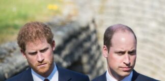 Zakaj je bil odnos med Harryjem in Williamom obsojen na propad že leta pred prihodom Meghan