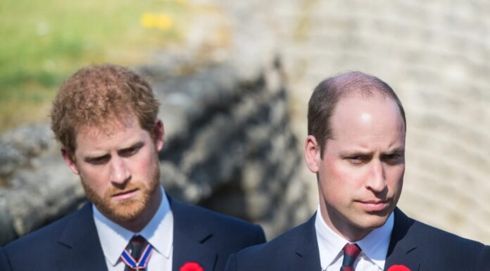 Zakaj je bil odnos med Harryjem in Williamom obsojen na propad že leta pred prihodom Meghan