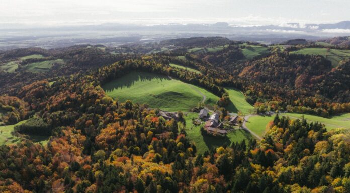 Pohorje – Kozjak Trail: Nova vrhunska pohodniška pot