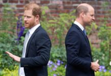 Princ William in princ Harry še vedno nimata stikov