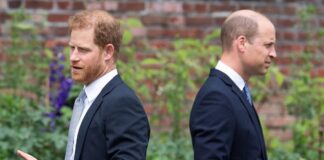 Princ William in princ Harry še vedno nimata stikov
