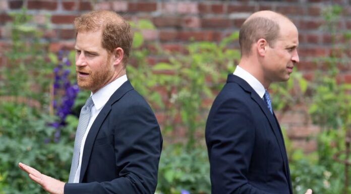 Princ William in princ Harry še vedno nimata stikov