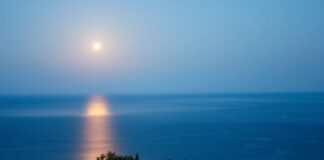 Avgustovska polna Luna (28. 8. 2026): zakaj se počutite povsem izčrpani?