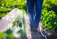 Pesticidi povezani z do 70 % povečanjem tveganja za to smrtno bolezen