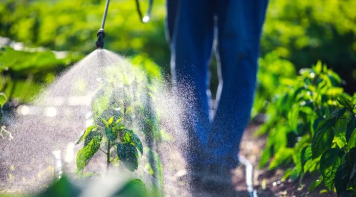 Pesticidi povezani z do 70 % povečanjem tveganja za to smrtno bolezen