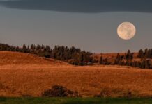 Pripravite se: Polna Luna v Ovnu prihaja s pravo eksplozijo energije