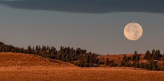 Pripravite se: Polna Luna v Ovnu prihaja s pravo eksplozijo energije