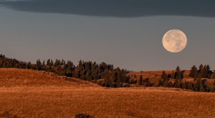 Pripravite se: Polna Luna v Ovnu prihaja s pravo eksplozijo energije