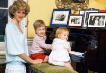 Razkrili doslej neobjavljeno pismo princese Diane glede njenih sinov