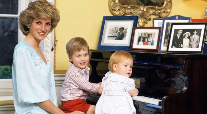 Razkrili doslej neobjavljeno pismo princese Diane glede njenih sinov