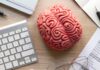 Hrana za možgane, ki znižuje stres